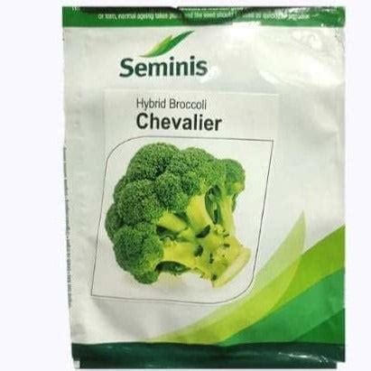 Chevalier Broccoli Seeds - Seminis | F1 Hybrid | Buy Online Now – Desikheti