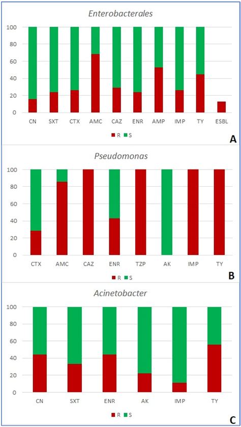 Wounds of Companion Animals as a Habitat of Antibiotic-Resistant ...