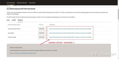 Java 2019 Download 的图像结果