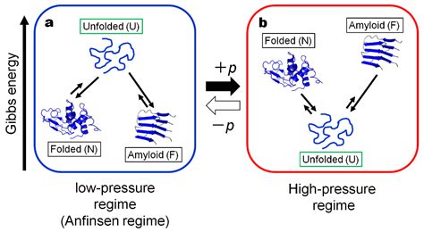 Proteins in Wonderland: The Magical World of Pressure