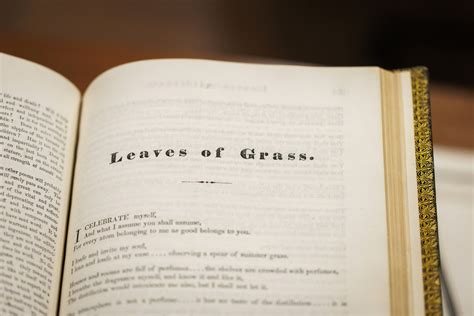 Two new Corporation members — Harvard Gazette