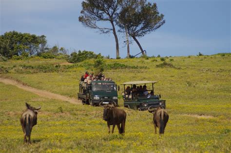 Customer reviews of Kragga Kamma Game Park, , Port Elizabeth