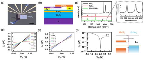 A Reconfigurable Polarimetric Photodetector Based on the MoS2/PdSe2 ...
