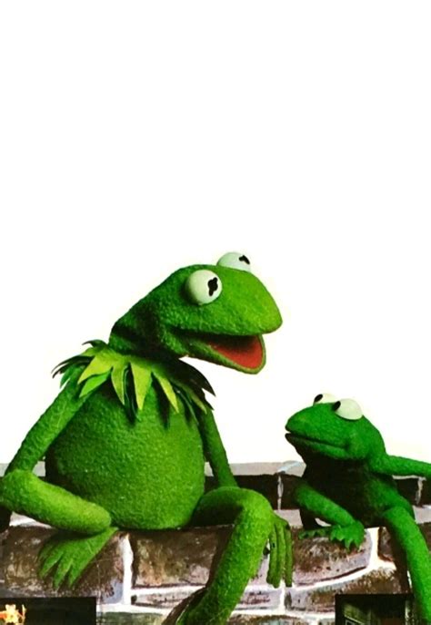 Muppet Frog 的图像结果