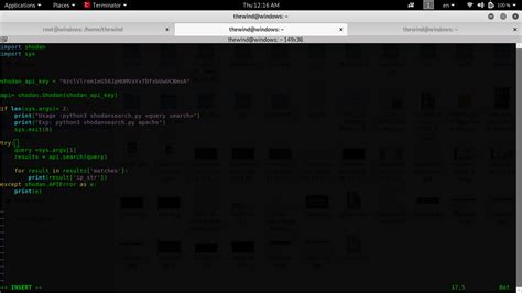 Using Windows Python to Run Shodan 的图像结果