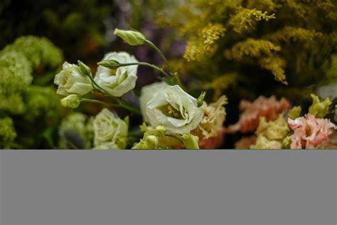 Glueckert Funeral Home | Honoring Lives with Care & Respect