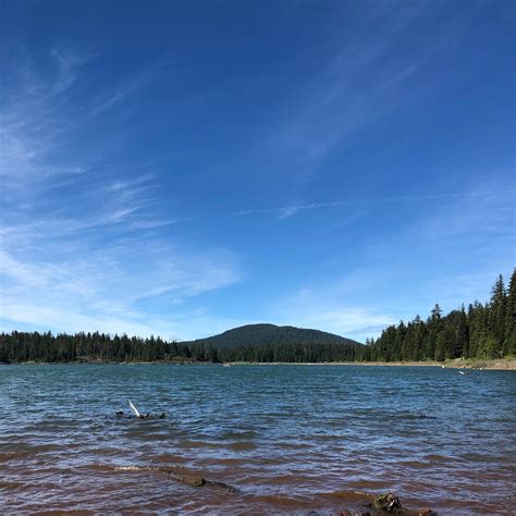 Fish Lake Resort Camping | The Dyrt