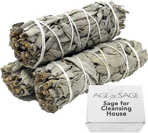 Amazon.com: White Sage Smudge Stick 2-Pack : Home & Kitchen