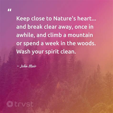 Quotes About Environment 的图像结果