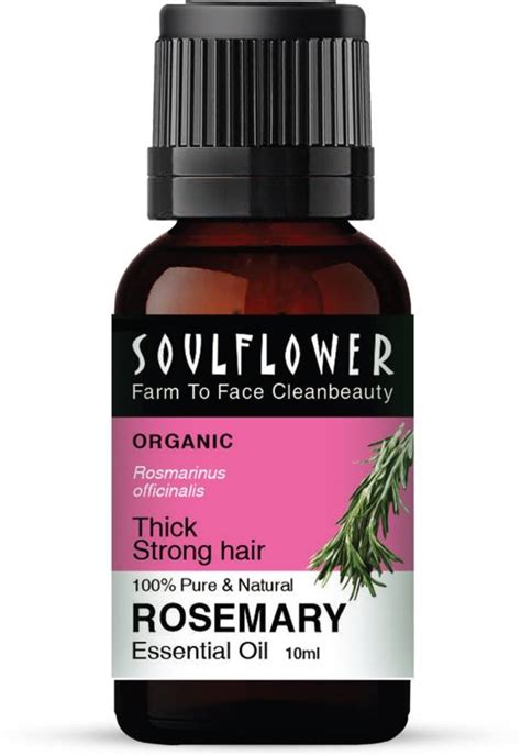 Soulflower Rosemary Essential Oil | Hair Growth, Skin, Face | Pure ...