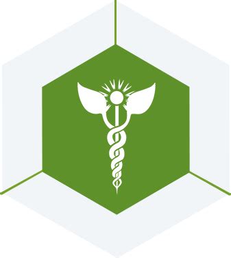 Synergy Hoslistic Life