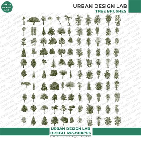 Architectural Tree Photoshop Brushes – FBQA