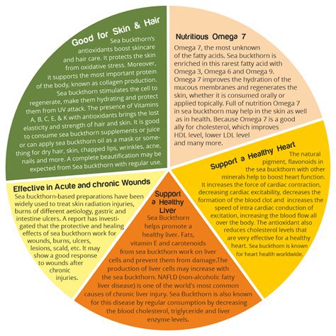 Sea Buckthorn - Overview, History, Uses, Benefits, Precaution, Dosage ...