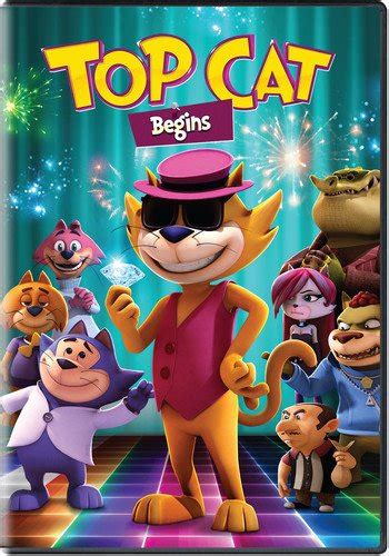 Top Cat Begins!: Amazon.in: Couturier, Andres, Hoffman, David, Diskin ...