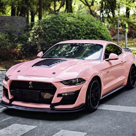 Pink Mustang
