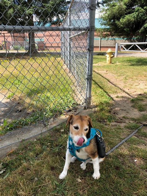 McKnight Middle School, 1200 Edmonds Ave NE, Renton, WA, Schools - MapQuest