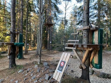 Forest Adventure 的图像结果