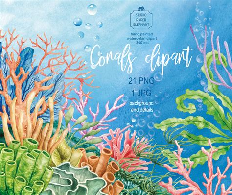 Coral Reef Background Clipart