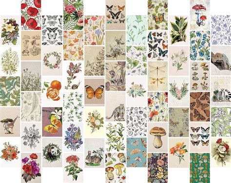Buy 60 Pieces Vintage Wall Collage Botanical Kit Wall Collage Kit ...