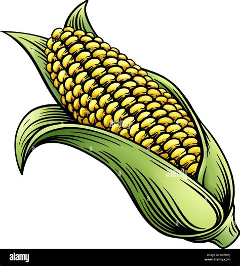 Ear Of Corn Clip Art Ear Of Corn Illustration. Sweet Corn. Field Corn.