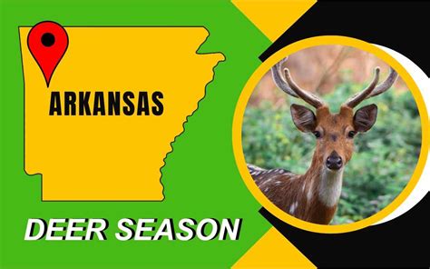 🦌Arkansas Deer Season 2025-2026 [Schedules, Licenses, Bag Limits & More!]