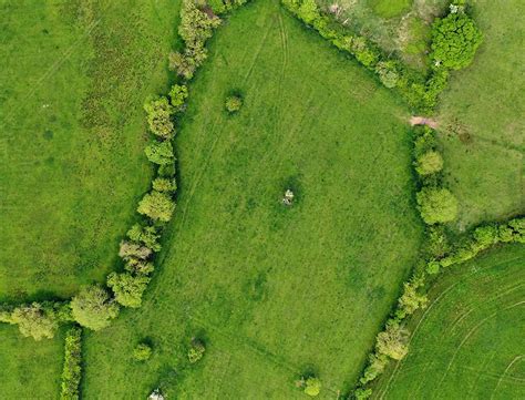 Local Development Base 的图像结果