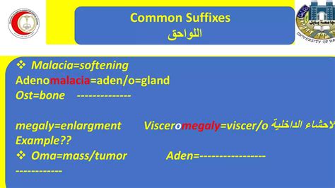 Foundation suffix lec1.pdf