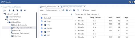 Image result for Open SAS File