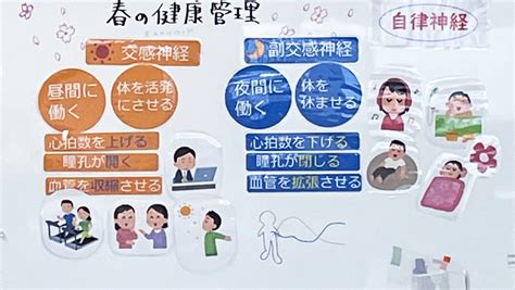Add Script in Animator Unity 的图像结果