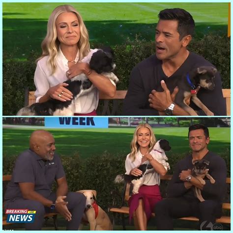 Celeb Glee - DISASTER On Morning TV: Kelly Ripa And Mark... | Facebook