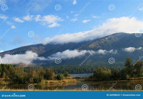 Trout Creek Montana stock photo. Image of forest, creek - 46598642