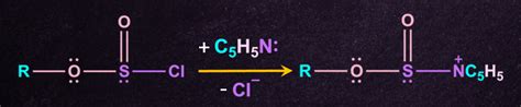 Nucleophilic Substitution Reaction: Definition, Types, SN1, SN2, SNi ...
