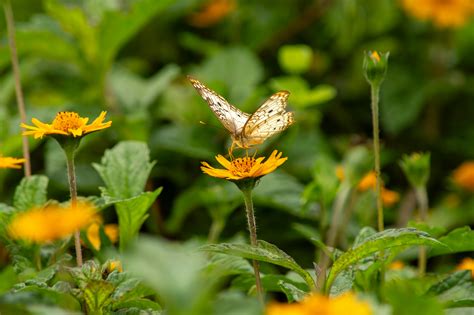 Tatum Christine Leaked