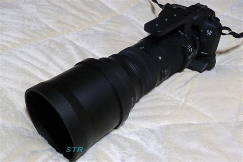 SIGMA 150-600mm F5-6.3 DG OS HSM Sports 購入 - 暇人STRのブログ