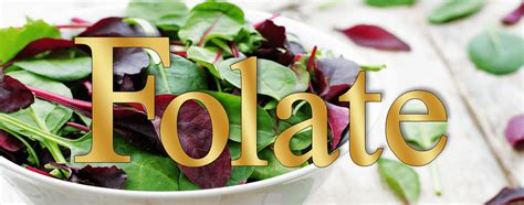 Image result for Folate Food Sources Chart