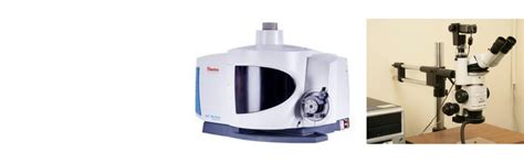 INDIAN RUBBER INSTITUTE