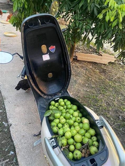 Image result for Different Patterns for Mehndi Practice