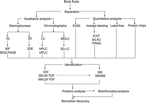 Body Fluids Analysis 的图像结果
