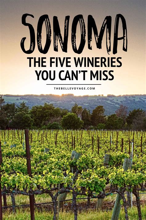 5 Best Sonoma Wine Tasting Experiences You Can't Miss