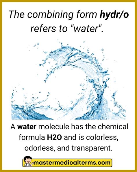 Common Word Roots for Urinary System - Master Medical Terms