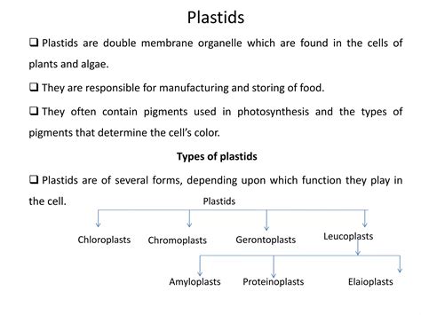 Plastids | PPTX