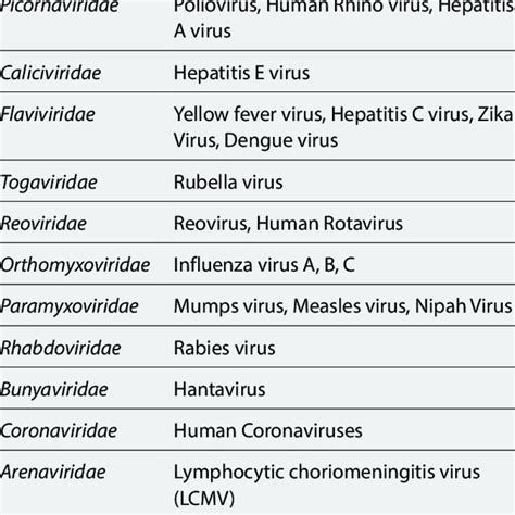 Image result for RNA Virus Classification