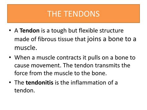 Anatomy of musculoskeletal system | PPTX