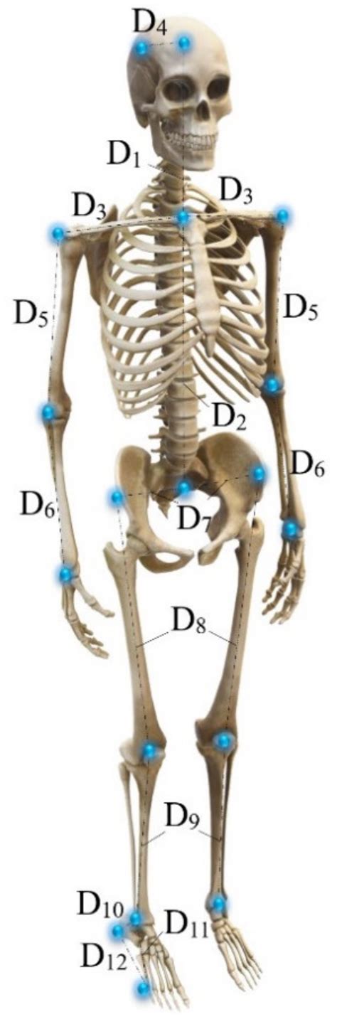 Experimental Evaluation of Pedestrian-Induced Multiaxial Gait Loads on ...