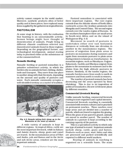 Image result for Skill Ark Class 12 Chapter 4