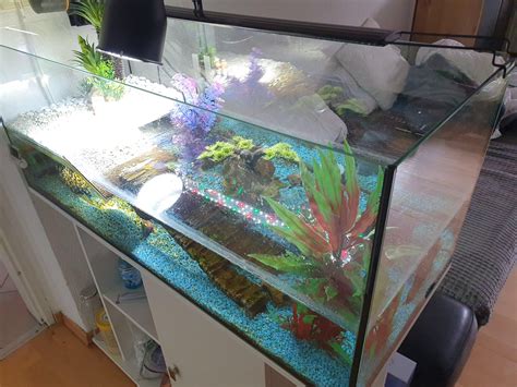 Image result for Normal Shell Warrantly