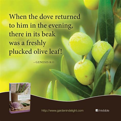 Bible Verses About Gardens ~ Best Wallpaper Rosella Watts