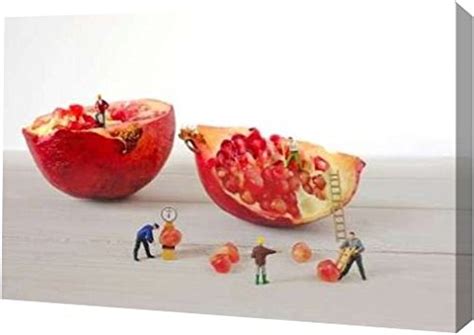 PrintArt"to Disassemble Pomegranate" by Gediminas Karbauskis Gallery ...