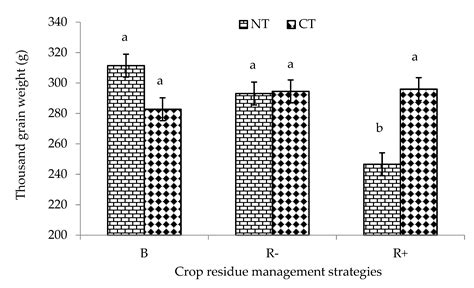 Carbon Input and Maize Productivity as Influenced by Tillage, Crop ...
