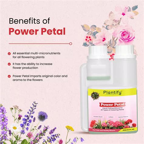 Plantify Power Petal- Organic Liquid Potting Mixture for Flowering Pla ...